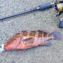 気分転換に若狭に出撃！